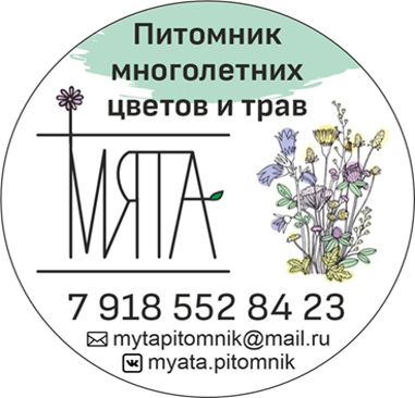 Питомник МЯТА